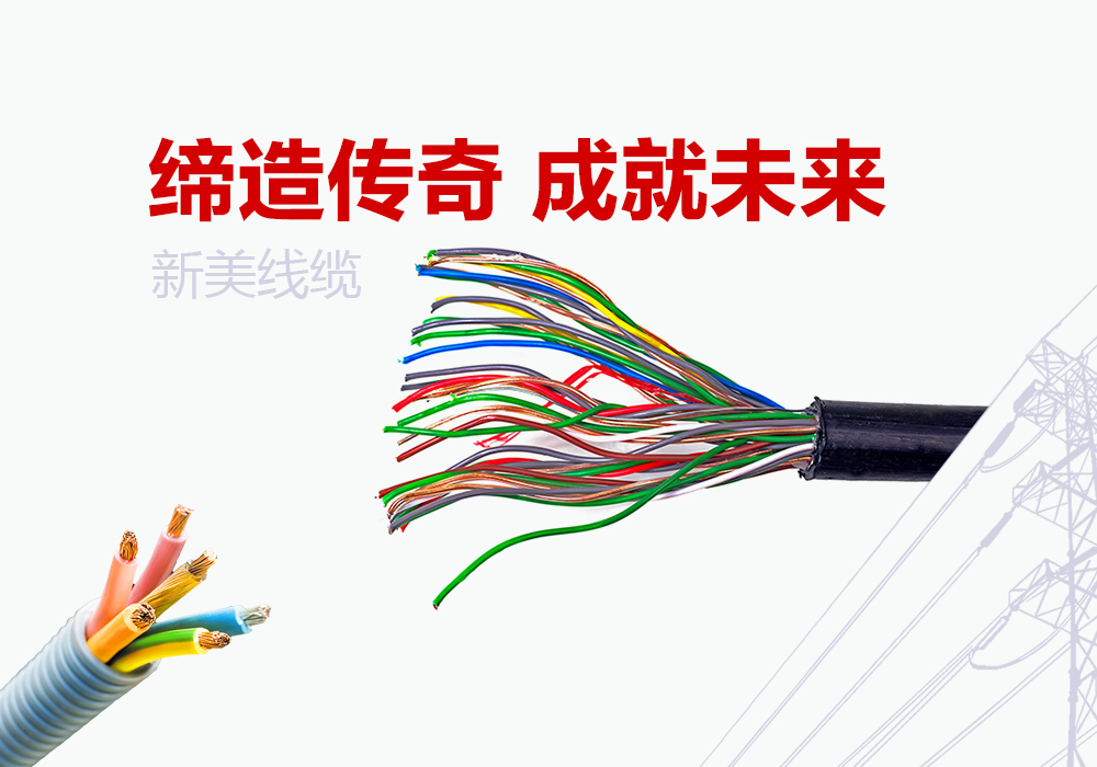 成都新美線纜有限公司項(xiàng)目案例